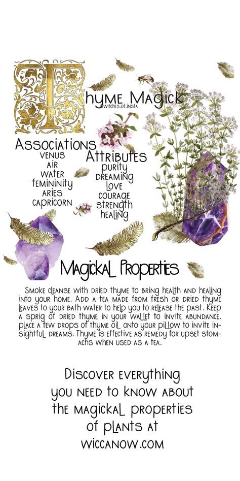 The Symbolism of Plants in Plant-Based Witchcraft